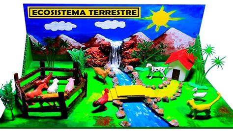 Maqueta De Ecosistema Terrestre Paso A Paso In 2023 Science