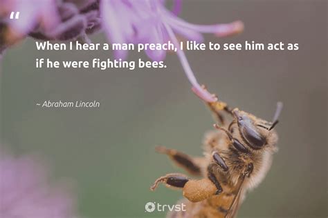 89 Bee Quotes And Inspirational Bee Sayings