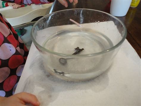 This is the most difference between this kind of polyacrylate and other traditional absorption materials. Learners in Bloom: Bubbles in a Bowl and Other Water ...