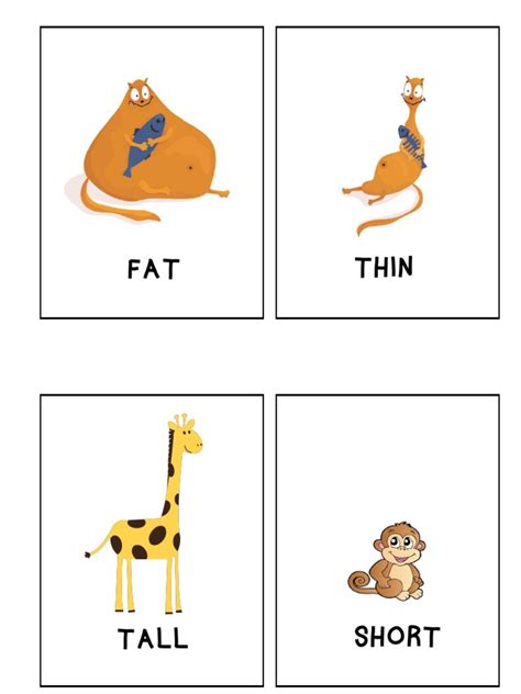 Flashcards Tall Short Fat Thin Pdf