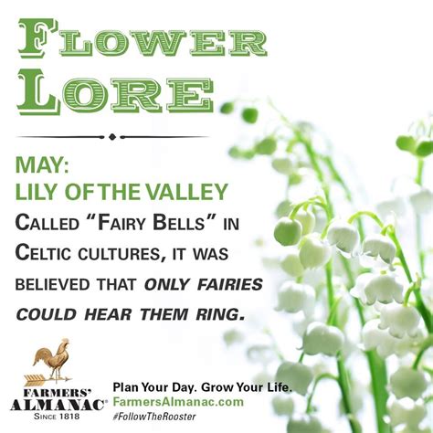 A symbol worn as a pin by many in bowling green, the crocheted flower was. Flower Lore - May: Lily Of The Valley | Lily of the valley ...