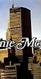 Annie McGuire (TV Series 1988–1989) - Release Info - IMDb
