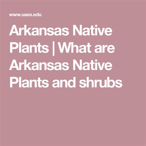 Arkansas Native Plants What Are Arkansas Native Plants And Shrubs