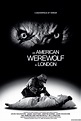 An American Werewolf in London (1981) - Posters — The Movie Database (TMDB)