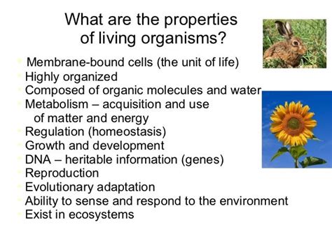 Lecture 1 Properties Of Life Spr13 Handout