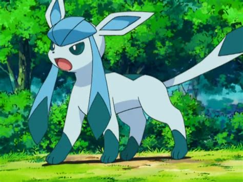 Mays Glaceon Pokémon Wiki Fandom Powered By Wikia