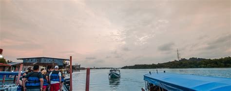 Kuala selangor nature park is located along coastline of kuala selangor and is an important education center in the. Kuala Selangor Fireflies Night Tour with Eagle Feeding and ...