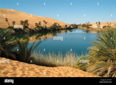 Umm Al Maa Lake Ubari Lakes Oasis In The Idehan Ubari Sand Sea