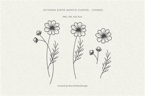 October Birth Month Flower Cosmos Flower Svg