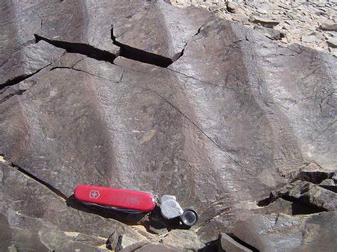 Tectonics And Structural Geology Features From The Field Ripple Marks