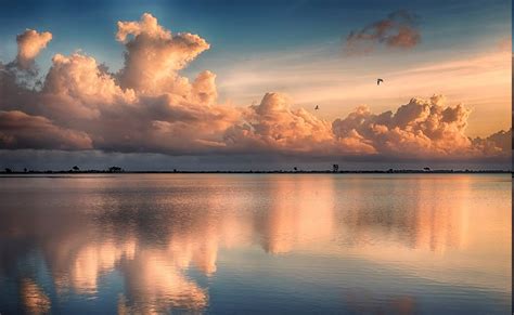 1366x840 Clouds Sunrise Sea Tropical Beach Nature Birds Flying