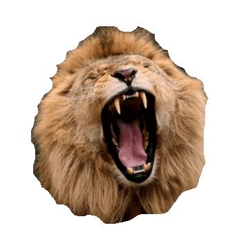 Lion Roar Animated Gif