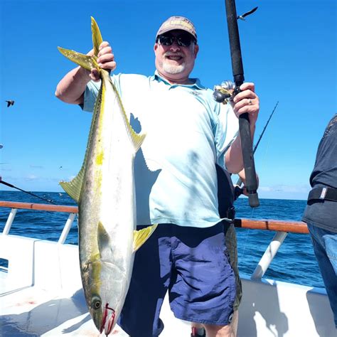 Independence Fish Report Awesome Yellowtail Fishing To Start Our Indy