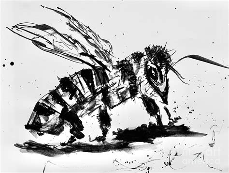 Honeybee In Black And White Painting By Patty Donoghue Fine Art America
