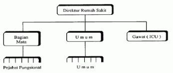 Arti Garis Putus Putus Pada Struktur Organisasi Berbagai Struktur Images