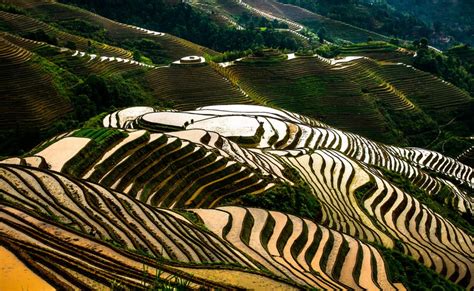 Beautiful Longji Rice Terraces In China Images Fontica