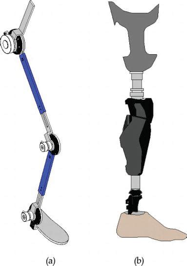 The bleex was funded by the defense advanced research projects agency. Lower Limb Exoskeleton Design