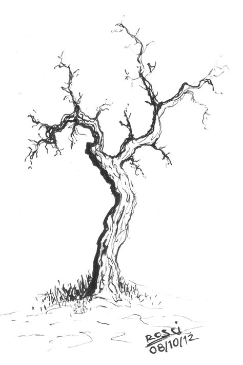 Creepy Tree Drawing At Explore Collection Of