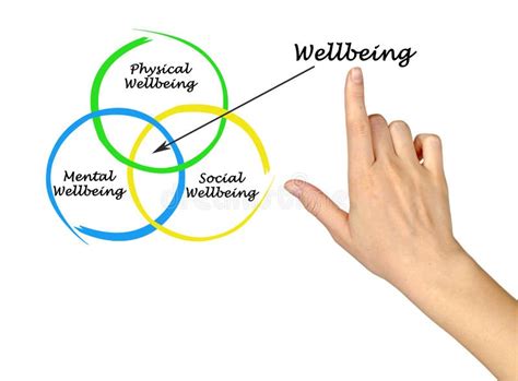 Diagram Of Wellbeing Stock Photo Image Of Mind Social 94370482