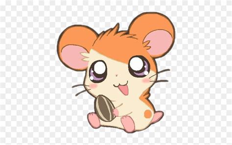 Kawaii Transparent Hamster Kawaii Cartoon Hamster Page 1 More