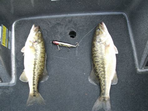Find a great deal on products from martin logan. Logan Martin Lake | Fishing Alabama | Reed's Guide Service