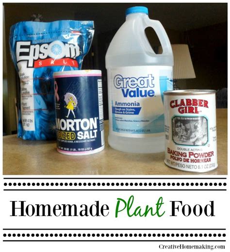 Why do organisms need to take food? How to Make Homemade Plant Food — Info You Should Know