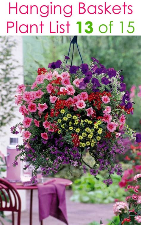 Choosing the best flowers for hanging basket the small clusters of beautiful, tiny flowers will appears throughout the summer. 15 Beautiful Flower Hanging Baskets & Best Plant Lists in ...