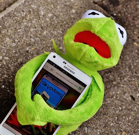 Kermit Frog Smartphone Pixabay Database Computer