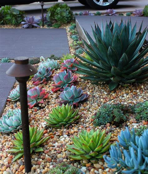 Succulent Landscaping A Guide To Creating A Beautiful And Low