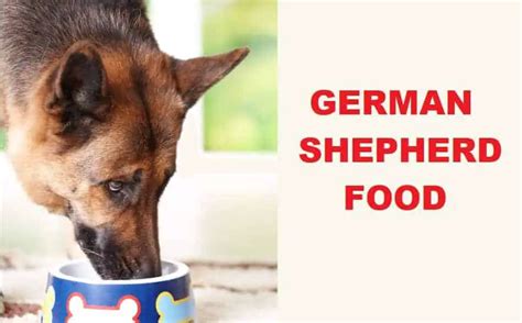 German Shepherd Food With Diet Schedule And Chart Food
