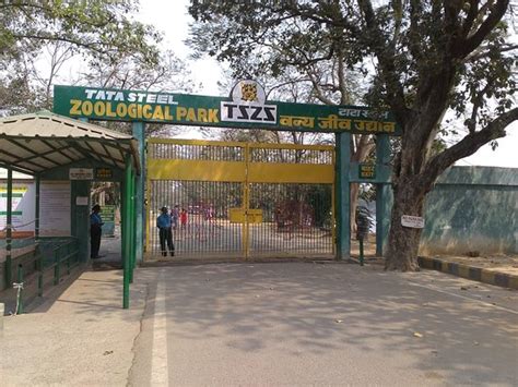 Tata Steel Zoological Park Jamshedpur What To Know Before You Go