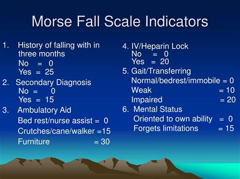 Morse Fall Scale Explanation
