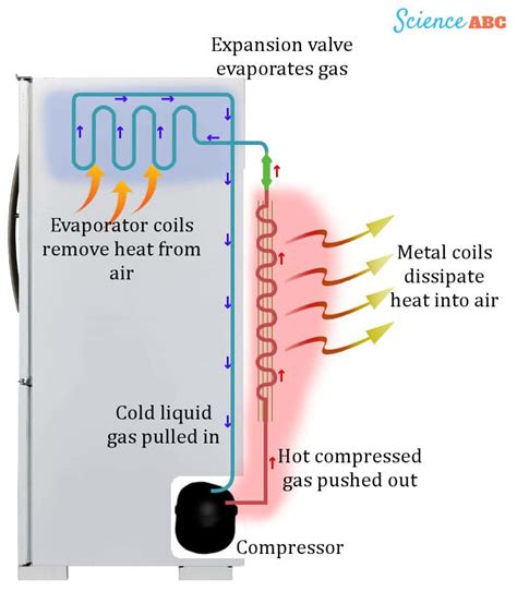 Refrigerator Working Principle How Does A Refrigerator Fridge Work