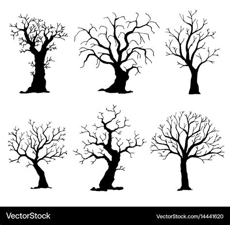 Collection Of Trees Silhouettes Tree Royalty Free Vector