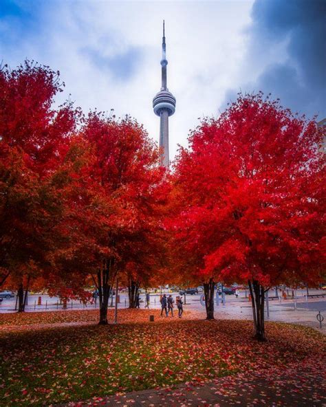 Fall Colours Peaked This Weekend In Toronto Pics Canada