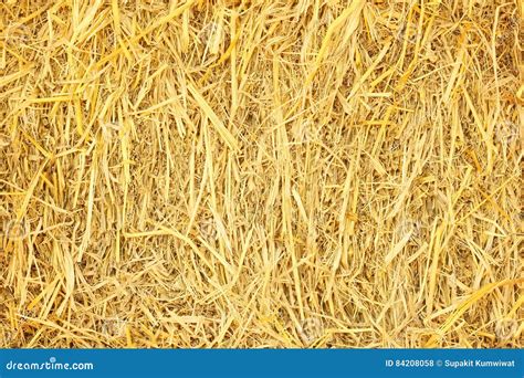 Dry Grass Hay Straw Textured Border Background Stock Photo Image Of