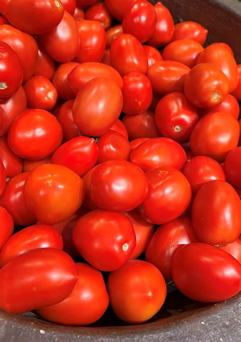 Roma Tomato Seeds Heirloom Organic Tims Tomatoes