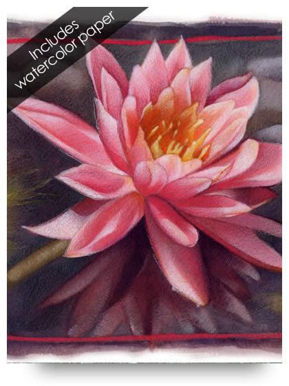 Waterlily Colored Pencil Project Kit