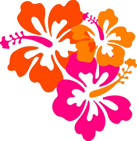 Hibiscus Flower Pictures Clip Art Eveliza Tumisma