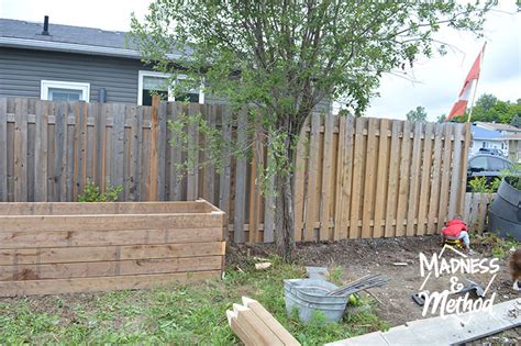 You'll need long slender branches for this. raised-garden-bed-along-fence-06 | Madness & Method