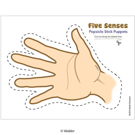 Five Senses Puppets Walder Education