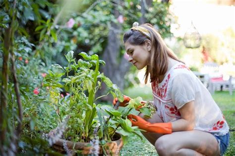 5 Best Gardening Programmes And Garden Tv Shows Trimetals
