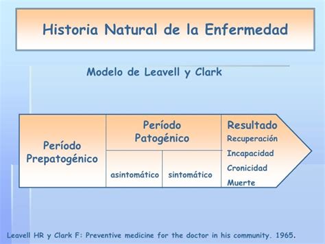 Modelo De La Historia Natural De La Enfermedad De Leavell Y Clark