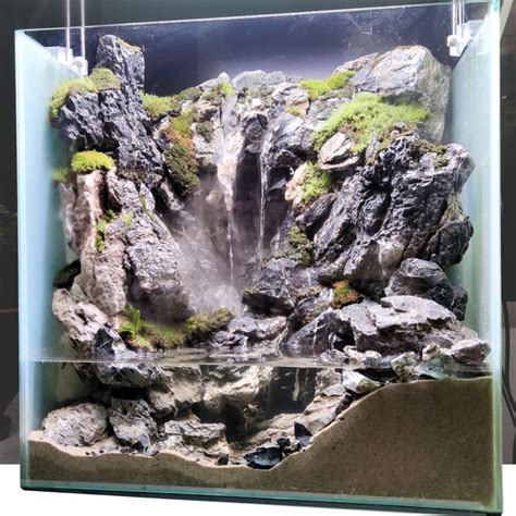 Mini Paludarium Diy Paludarium 2021