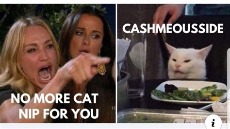 Pin By Laura Peaire On Woman Yelling At Cat Smudge Smudging Memes