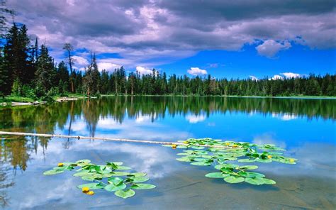 Nature Landscape Lake Forest Reflection Clouds Water