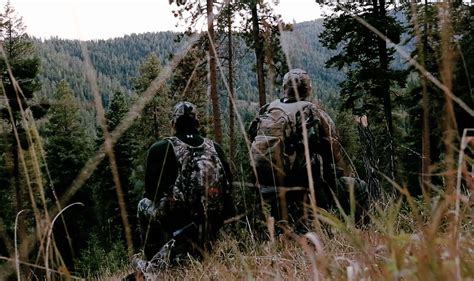Is Bigfoot Hiding In Oregons Forests Travel Oregon