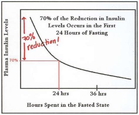 Lifeversity • Definitive Guide To Intermittent Fasting