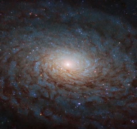 Hubble Captures Detailed Image Of Ngc 4380 Scinews