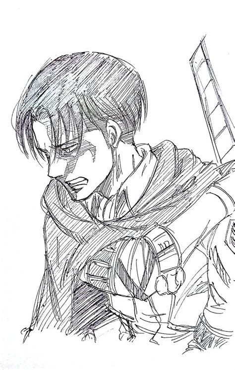 Levi Ackerman Attack On Titan Levi Attack On Titan Art Anime Sketch